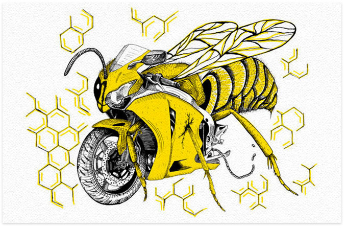 Wasp Bike